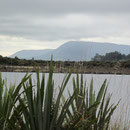 Blick auf's Meer zwischen Dunedin und Invercargill