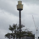 Der SydneyTower