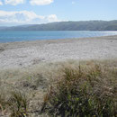 Blick von Petone Beach Richtung Wellington