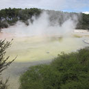 Thermalwassersee (100 Grad Celsius!) im Wai-O-Tapu-Wonderland nahe Rotorua