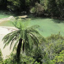 See im Abel Tasman I