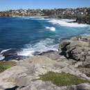 Blick auf die Kueste zwischen Bondi und Coogee