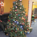 Der kuenstliche Weihnachtsbaum der Gastgeber
