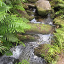 Fluss im Abel Tasman