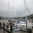 Blick in den Hafen von Whangarei