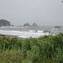 Meerblick zwischen Greymouth und Punakaiki