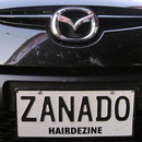 Nummernschild XIII
