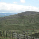 Landschaft auf dem Weg nach Napier/Hastings