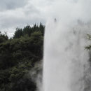 Ausbruch des Lady Knox-Geysirs nahe Rotorua I