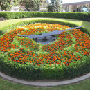 "Blumige Zeiten" in Napier