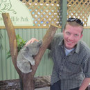 Koalabaer streicheln im Featherdale Wildlife Park