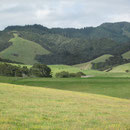 Landschaftsblick auf der Coromandel-Halbinsel II