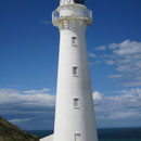 Leuchtturm von Castlepoint