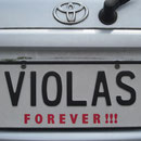 Nummernschild VIII
