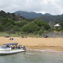 Strand im Abel Tasman