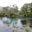 Die Pupu Springs I
