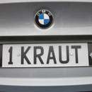 Nummernschild XII
