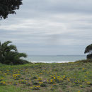 Blick auf's Meer in Mount Manganui