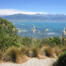 Traumhaftes Landschaftspanorama bei Kaikoura