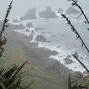 Meerblick zwischen Westport und der Nordkueste