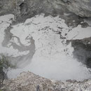 Thermalschlamm-Quelle im Wai-O-Tapu-Wonderland nahe Rotorua II