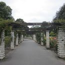 Gang durch den Botanischen Garten von Dunedin