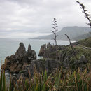 Pancake Rocks III