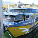 Unser Whale watch-Boot