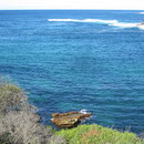 Blick auf's Meer hinaus zwischen Bondi und Coogee I