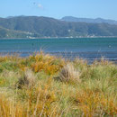 Blick von Petone Beach Richtung Eastbourne (gegenueber von Wellington)