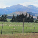 Landschaftsblick zwischen Milford und Te Anau