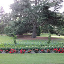 Der Botanische Garten
