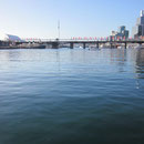 Darling Harbour II