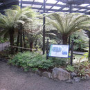 Das tropische Gewaechshaus der Familie Mona Vale in Christchurch
