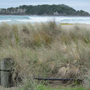 Blick auf's Meer in Mount Manganui