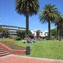 Strandpromenade von Picton I