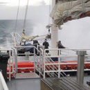 Sehr starker Seegang in der Tasman Sea