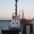Fischkutter im Hafen von Timaru
