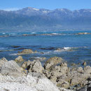 Blick auf Meer und Berge von Kaikoura