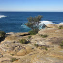 Blick auf's Meer hinaus zwischen Bondi und Coogee II