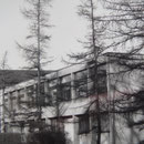 Hier, an der Forsterstrasse am Zürichberg befand sich 1986 die "Spitex-Schule". 