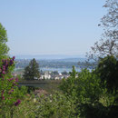 Blick von der Höhe auf Kreuzlingen hinunter.