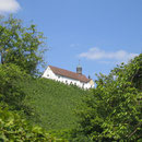 Das Kirchlein Warth oberhalb der Kartause Ittingen.