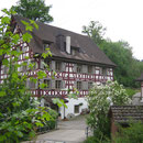 Die alte Säge oberhalb von Tägerwilen.