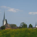 Die Wanderung führt etwas ausserhalb des Dorfes Altnau vorbei. Die Kirche verschwindet fast hinter der blühenden Wiese.