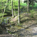 Der Feilenbach begleitet mich auf dem Weg Richtung Arbon.