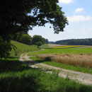 Weiter geht es durch eine schöne Landschaft Richtung Uerschhausen.