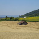 Es ist Sommer geworden!