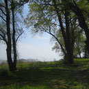 Der wunderschöne Platz zwischen Rotfarb und See.