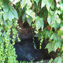 Am Wegrand gibt es mit Wasser gefüllte Nischen. Hier fliesst das Wasser aus den darüber liegenden Wiesen hinein. Früher dienten diese Becken als Zisternen in Trockenzeiten.